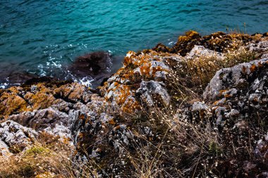 Seaside landscape near Pleneuf val andre, Armor Coast, Brittany in France clipart