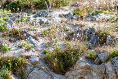 Fransa 'da Pleneuf val andre, Armor Coast, Brittany yakınlarındaki deniz manzarası
