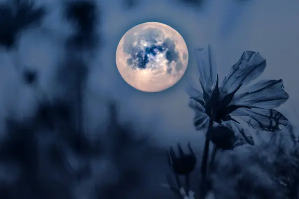 Gökyüzündeki mavi ay