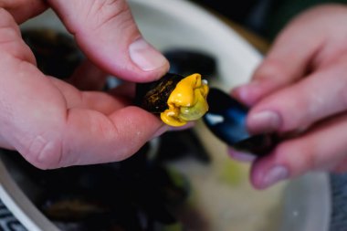 Brittany 'den midye, boş kabuk, Omega 3' ten zengin kabuklu deniz ürünleri, sağlıklı yemek.
