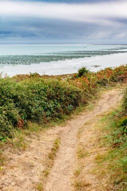Brittany 'deki midye parkı, Fransa' daki Zırh Sahili