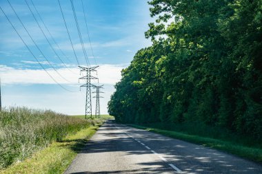 Elektrik direği ve doğa, gerçek hayat fotoğrafı.