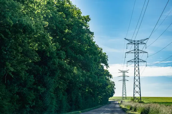 Elektrik direği ve doğa, gerçek hayat fotoğrafı.