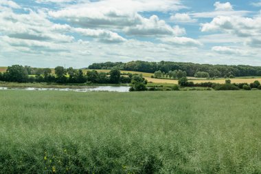 Gökyüzü ve tarlaları olan kırsal alan, gerçek hayat fotoğrafı.
