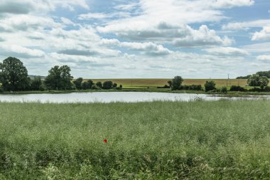 Gökyüzü ve tarlaları olan kırsal alan, gerçek hayat fotoğrafı.
