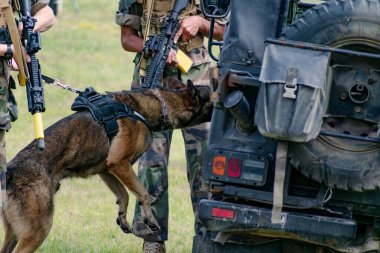 Askeri köpek ve askeri köpek eğitmeni, köpek takımı.