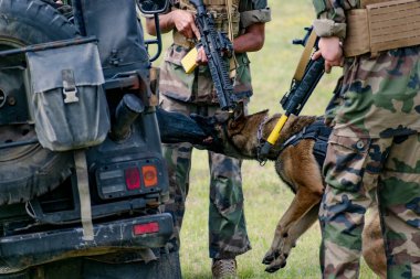 Askeri köpek ve askeri köpek eğitmeni, köpek takımı.