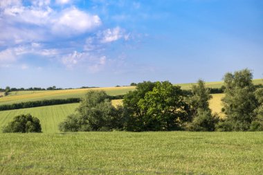 Gökyüzü ve tarlaları olan kırsal alan, gerçek hayat fotoğrafı.