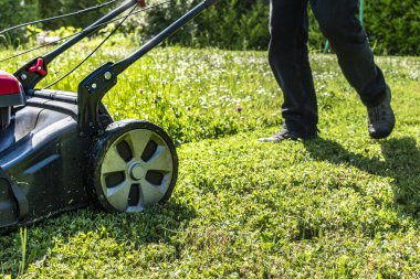 Bahçedeki bir makineyle çimleri biçiyor.