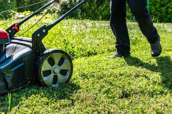Bahçedeki bir makineyle çimleri biçiyor.