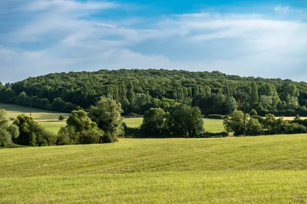 Gökyüzü ve tarlaları olan kırsal alan, gerçek hayat fotoğrafı.
