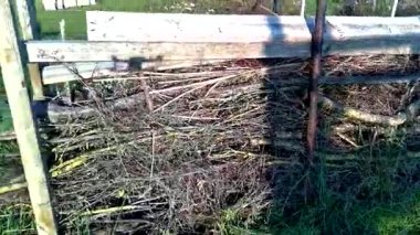 Bir ekolojik bahçenin havadan görünüşü, sebze, çiçek, kuru çit, pazı, fasulye, domates, lahana, kozmos, calendula