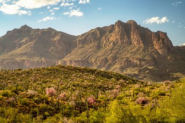 Phoenix, Arizona yakınlarındaki Sonoran Çölü ve Batıl inanç Dağı manzarası..