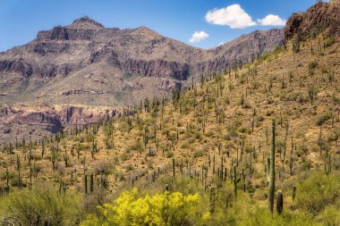 View of Peralta Regional Park in the Sonoran Desert near Phoenix Arizona clipart