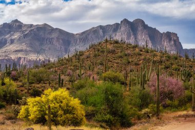 Phoenix, Arizona yakınlarındaki Peralta Bölge Parkı 'ndan hurafe dağı..