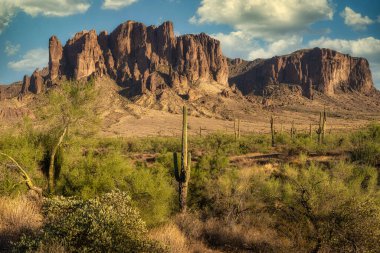 Phoenix, Arizona yakınlarındaki Blooming Brittlebush ve Batıl inanç Dağı.