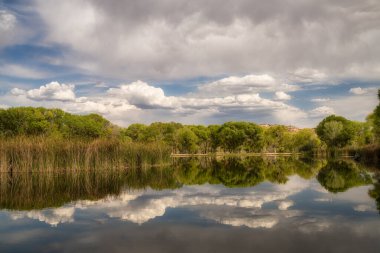 Cottonwood, Arizona yakınlarındaki Dead Horse Sate Park 'ta güzel bir manzara.