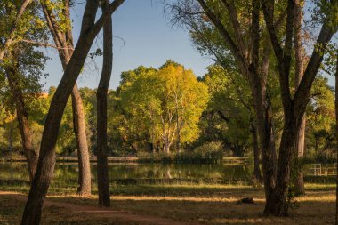 Arizona 'da Sedona yakınlarında kızıl kaya oluşumları