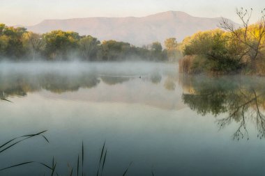 Cottonwood, Arizona yakınlarındaki Dead Horse Sate Park 'ta güzel bir manzara.