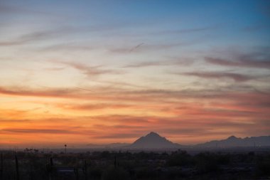 Phoenix, Arizona yakınlarındaki Saguaro kaktüsüyle Sonoran Çölü 'nde gün batımı