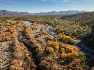 Phoenix, Arizona yakınlarındaki Sonoran Çölü 'ndeki Salt River.