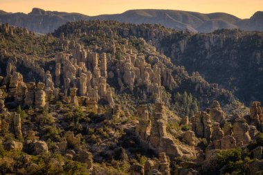 Chiricahua Ulusal Anıtı, Arizona 'nın güneydoğusundaki Chiricahua Dağları' nda bulunan Ulusal Park Sistemi 'nin bir birimidir. Anıt, geniş çaplı kabadayıları ve dengeleyici kayaları korumak amacıyla 18 Nisan 1924 'te kuruldu. Uzak Çiftlik, w