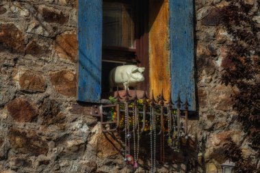 Bisbee, Arizona 'da bir binanın vitrininde bir domuz ve boncuk.