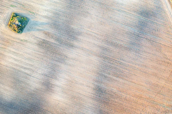 Воздушный Вид Беспилотника Зеленой Точки Сельскохозяйственном Поле После Сбора Урожая — стоковое фото