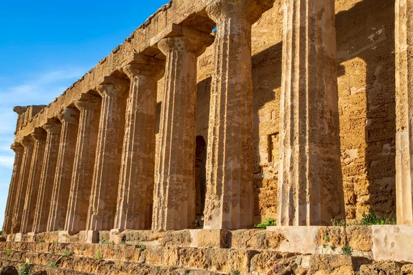 Columnas Las Antiguas Ruinas Del Templo Griego Segesta Sicilia Italia — Foto de Stock