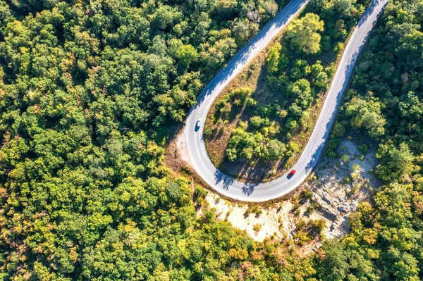 山頂からの眺め 山の松林の中の道のカーブのドローンショット — ストック写真