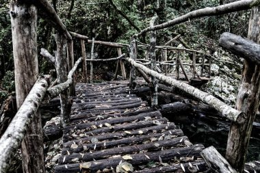 Ormanda ahşap el yapımı köprü. Siyah ve beyaz