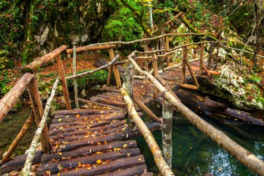 Ormanda güzel ahşap el yapımı köprü