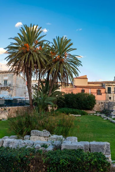 Palmen Bij Resten Van Tempel Van Apollo Piazza Pancali Het — Stockfoto