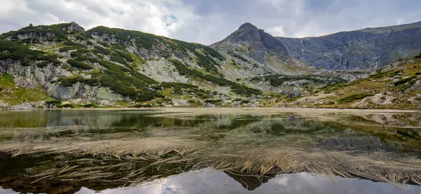 Vista Panorâmica Lago Montanha Com Plantas Montanha Rila Bulgária — Fotografia de Stock