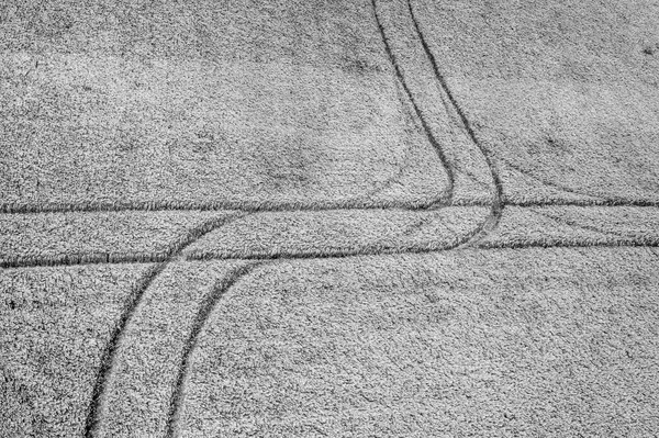 Анотація Повітряного Вигляду Слідів Полі Чорно Білий — стокове фото