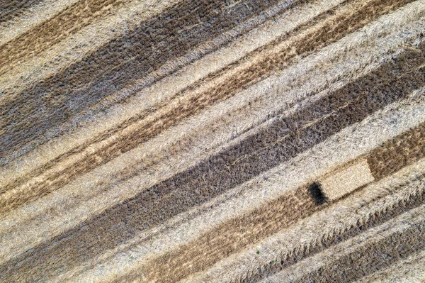 Воздушный Беспилотный Вид Скошенное Поле Тюком Сена — стоковое фото