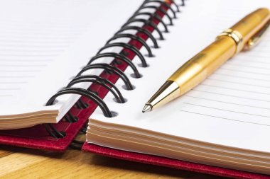Defter ve lüks kalem. Arkaplanı bulanık. 