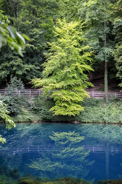 Krásné Modré Zelené Jezero Blautopf Blaubeuren Německo — Stock fotografie