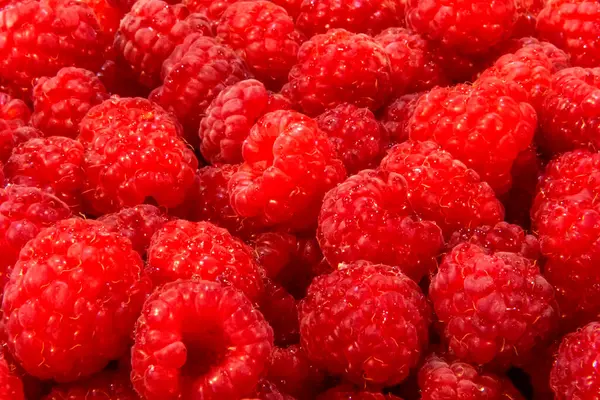 Ripe Raspberries Berries Scarlet Raspberry Background Raspberry Surface Royalty Free Stock Images