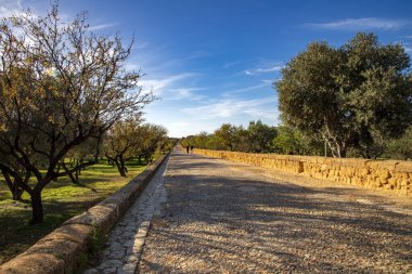 Sicilya 'daki Tapınaklar Vadisi' nde taş yolu.. 