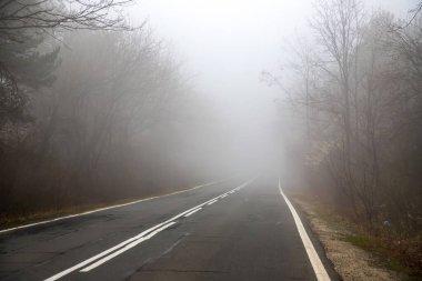 Siste yol. Sisli yol