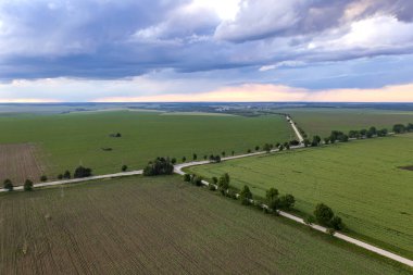 Tarlada yolu olan kırsal bir arazinin havadan görünüşü 