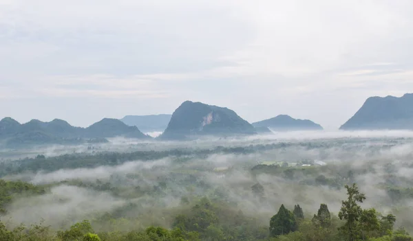 Brzy Ráno Mlha Krásná Hora Jižním Thajsku — Stock fotografie