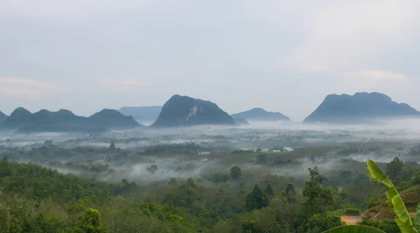 Poranna Mgła Piękna Góra Południowej Tajlandii — Zdjęcie stockowe