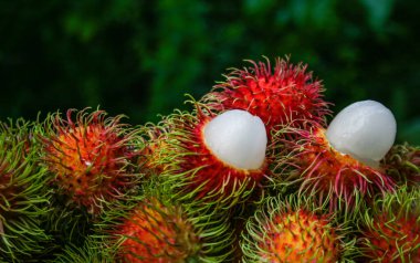 Tayland meyvesi, tatlı rambutan, Tayland 'ın güneyinden güzel bir renk.