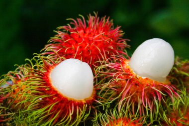 Tayland meyvesi, tatlı rambutan, Tayland 'ın güneyinden güzel bir renk.