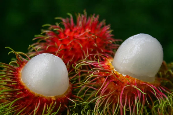 Tayland meyvesi, tatlı rambutan, Tayland 'ın güneyinden güzel bir renk.