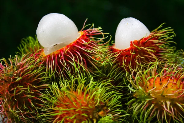 Tayland meyvesi, tatlı rambutan, Tayland 'ın güneyinden güzel bir renk.