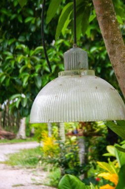 Ağacın altındaki bahçede asılı dekoratif cam fenerler.