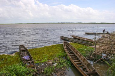 Beyaz bulut mavi gökyüzü ve ağaç balıkçısı Güney Tayland 'da